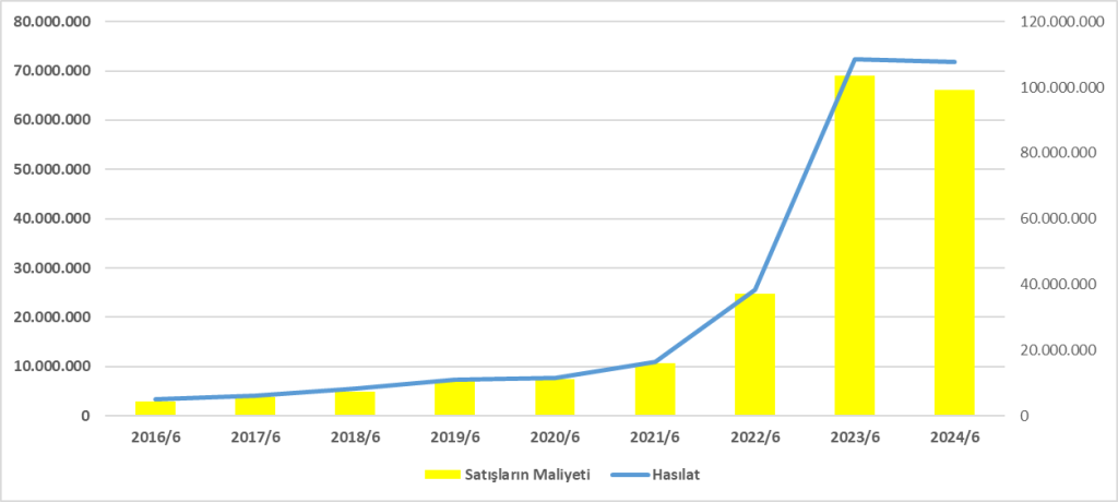 AEFES BİLANÇO ANALİZİ 2024/6 Image 1541 1024x460