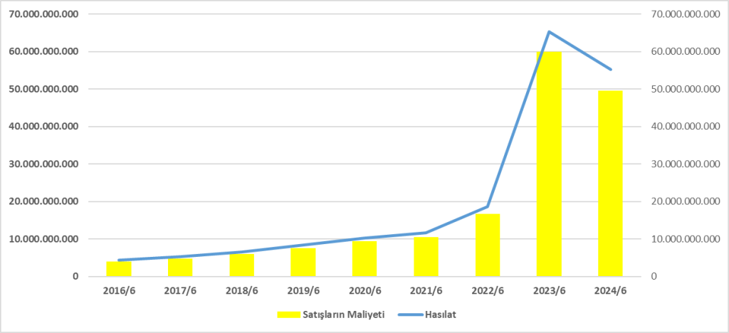 SELEC BİLANÇO ANALİZİ 2024/6 Image 2156 1024x468