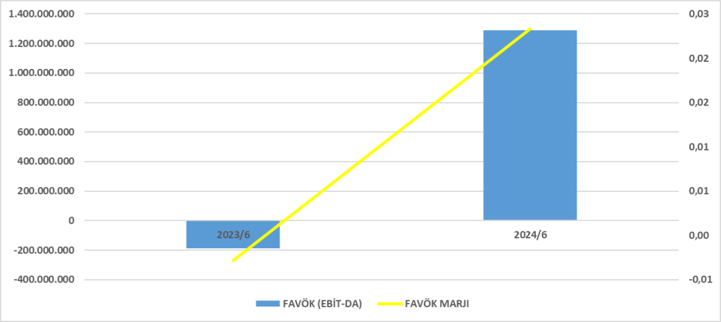 SELEC BİLANÇO ANALİZİ 2024/6 Image 2158 1024x458