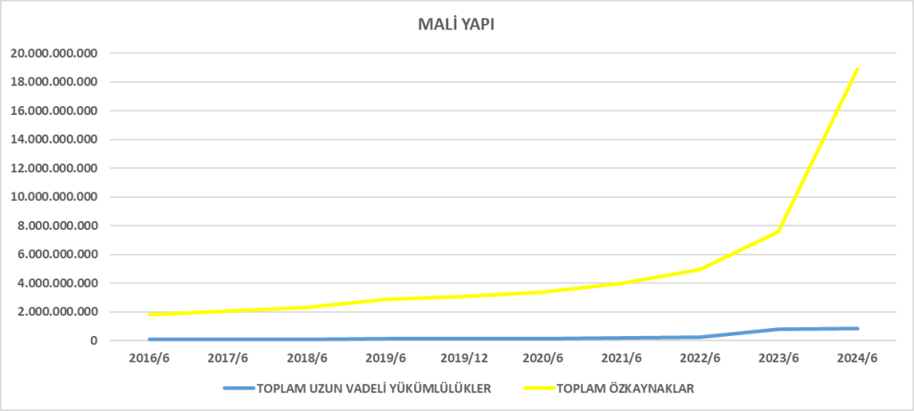 SELEC BİLANÇO ANALİZİ 2024/6 Image 2161 1024x461