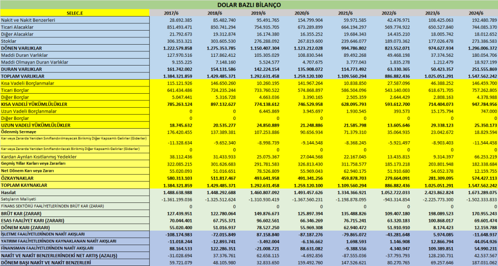 SELEC BİLANÇO ANALİZİ 2024/6 Image 2167 1024x548