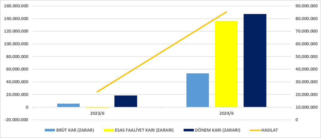 INTEK BİLANÇO ANALİZİ 2024/6 Image 2187 1024x442