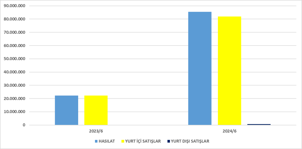 INTEK BİLANÇO ANALİZİ 2024/6 Image 2191 1024x507