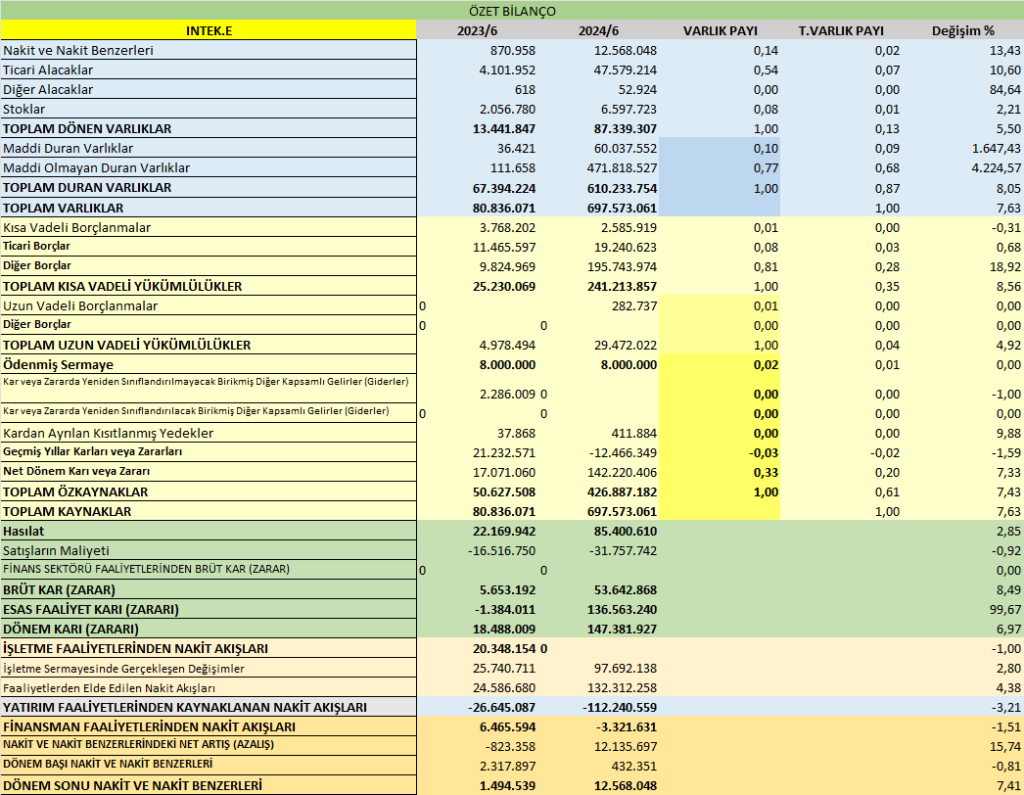 INTEK BİLANÇO ANALİZİ 2024/6 Image 2203 1024x795