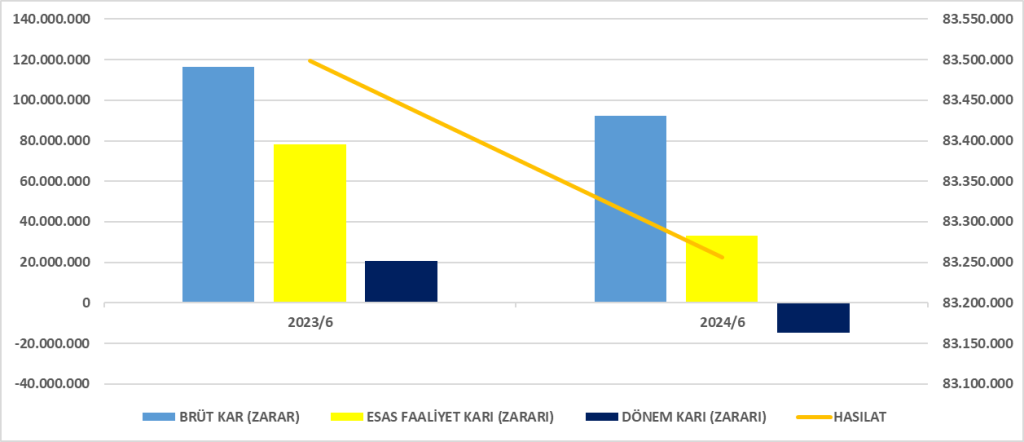 SAHOL BİLANÇO ANALİZİ 2024/6 Image 2251 1024x442