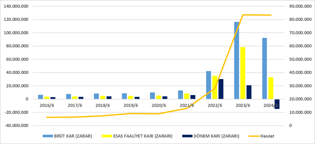 SAHOL BİLANÇO ANALİZİ 2024/6 Image 2252 1024x468