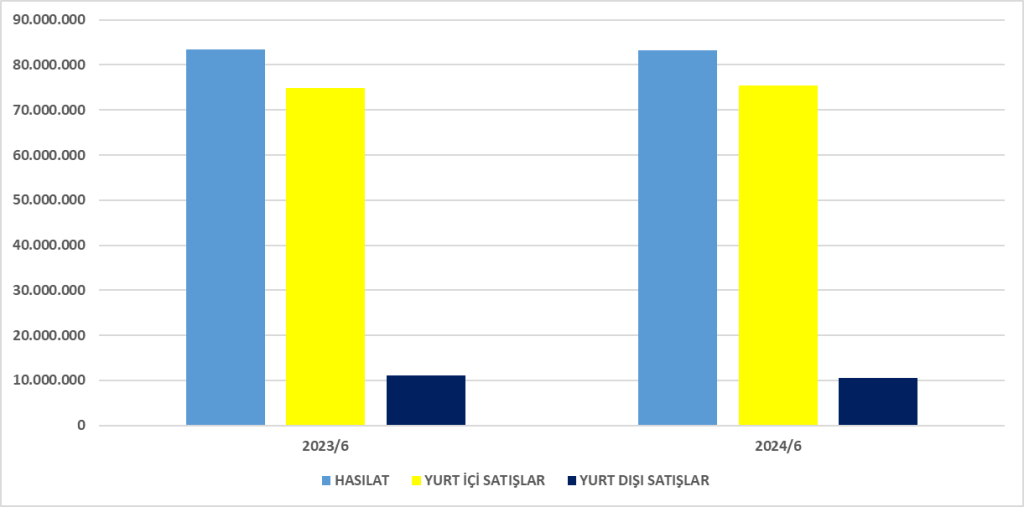 SAHOL BİLANÇO ANALİZİ 2024/6 Image 2255 1024x507