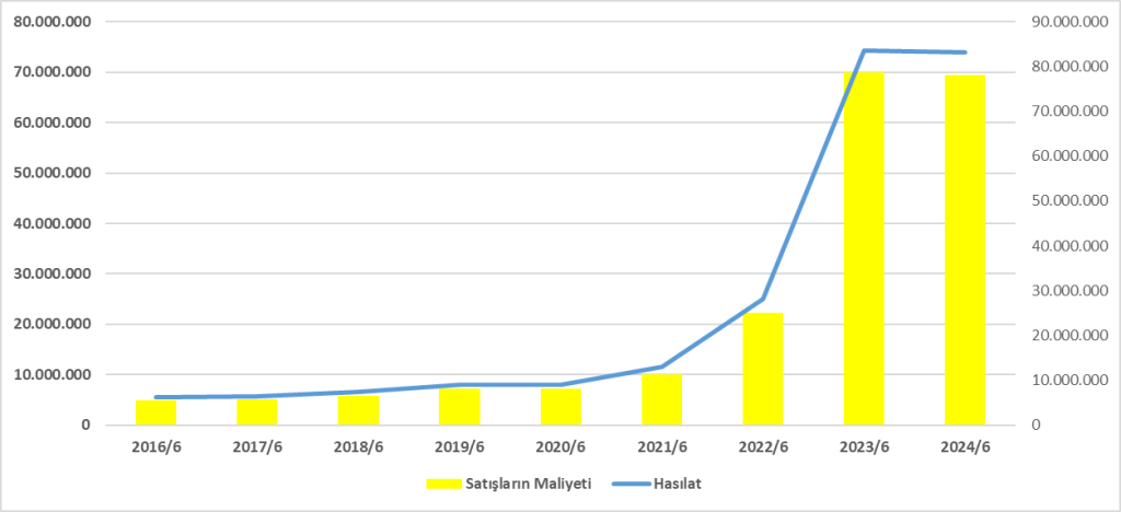 SAHOL BİLANÇO ANALİZİ 2024/6 Image 2256 1024x468