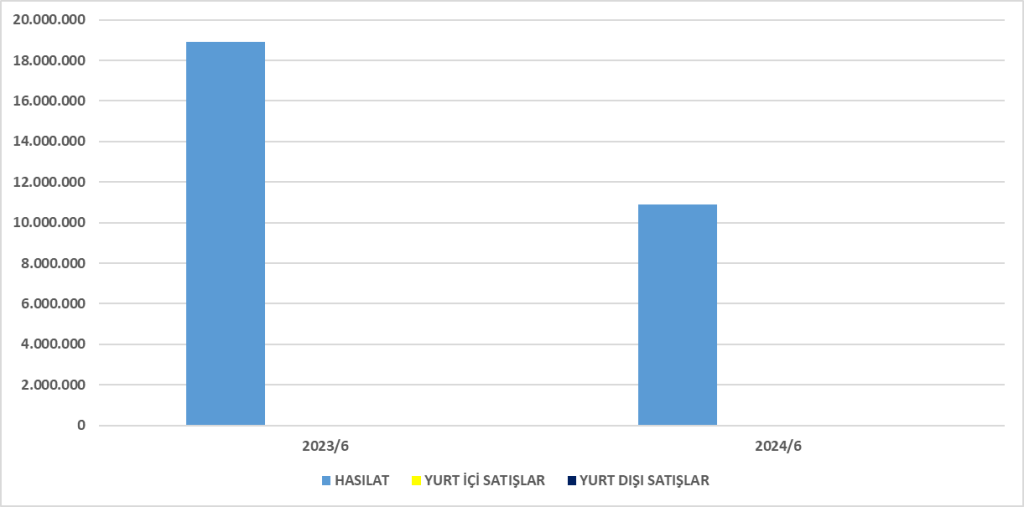 ZOREN BİLANÇO ANALİZİ 2024/6 Image 2348 1024x507