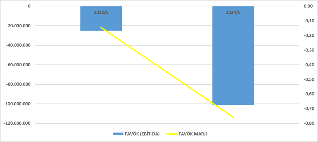 MANAS BİLANÇO ANALİZİ 2024/6 Image 2608 1024x458