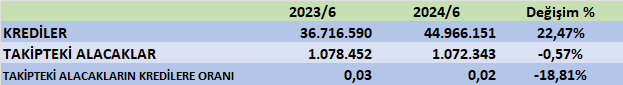 ISFIN BİLANÇO ANALİZİ 2024/6 Image 309