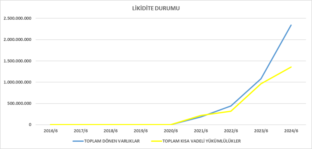 GRSEL BİLANÇO ANALİZİ 2024/6 Image 586 1024x491