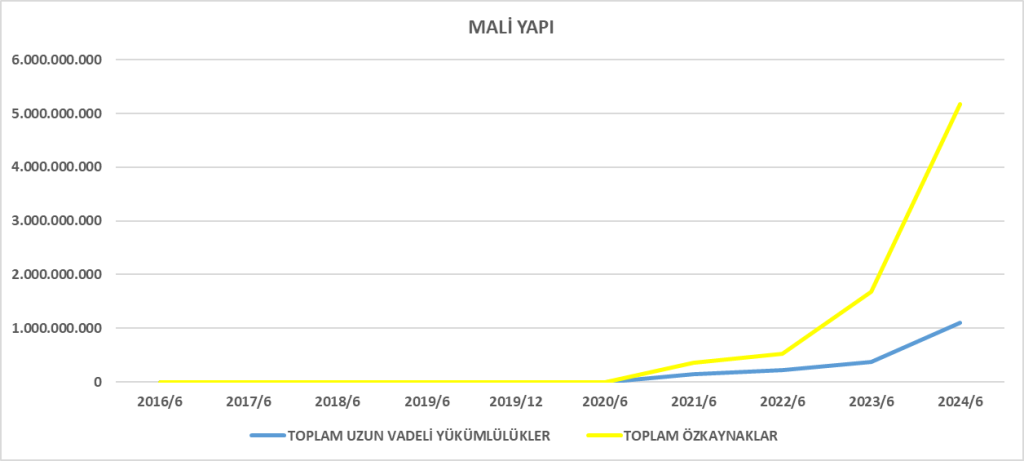 GRSEL BİLANÇO ANALİZİ 2024/6 Image 587 1024x461