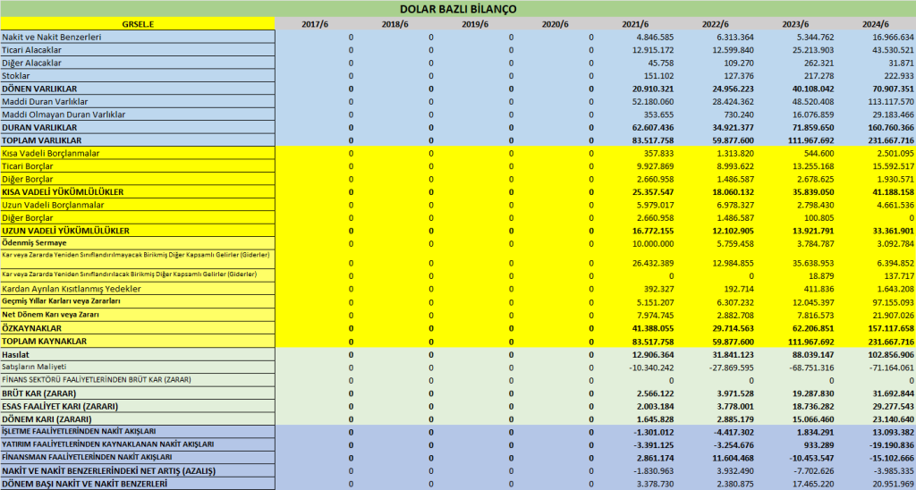 GRSEL BİLANÇO ANALİZİ 2024/6 Image 592 1024x548
