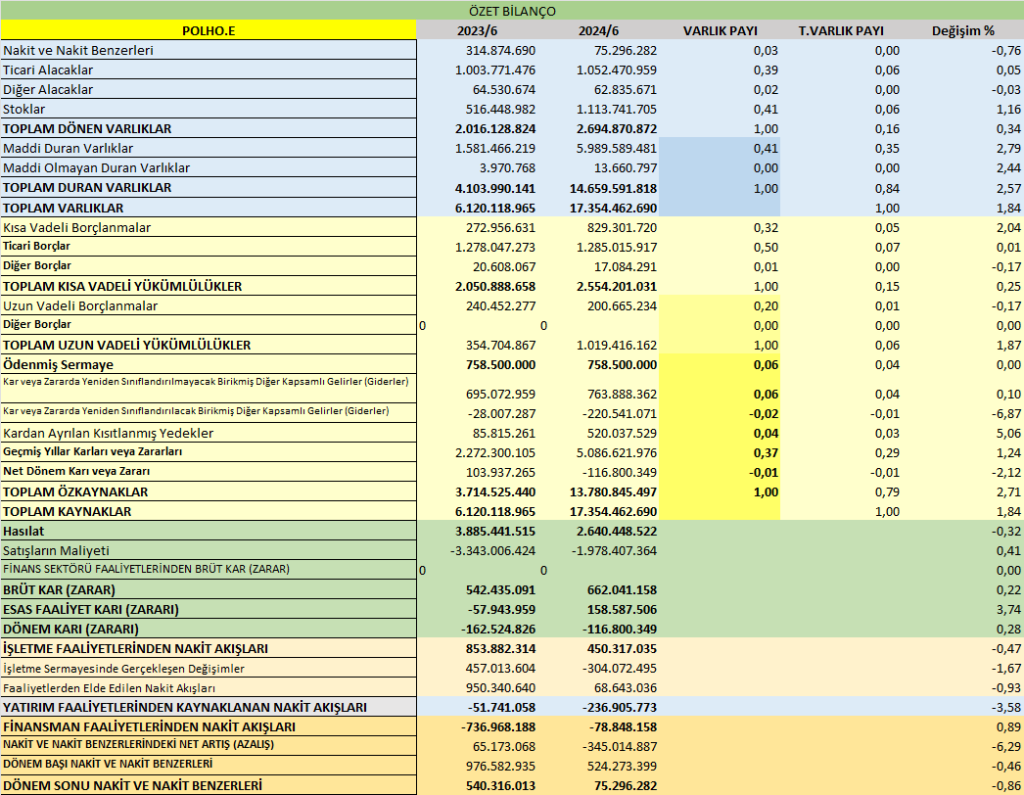 POLHO BİLANÇO ANALİZİ 2024/6 Image 612 1024x795