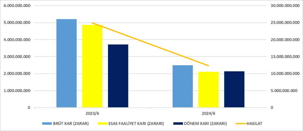 AKSEN BİLANÇO ANALİZİ 2024/6 Image 614 1024x442