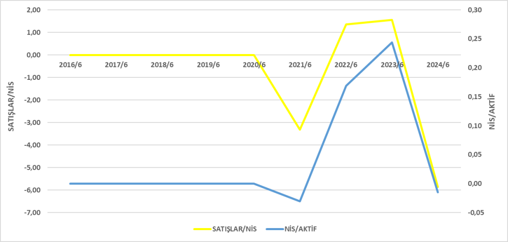 GWIND BİLANÇO ANALİZİ 2024/6 Image 645 1024x488