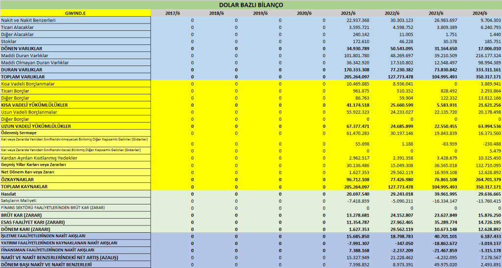 GWIND BİLANÇO ANALİZİ 2024/6 Image 649 1024x548