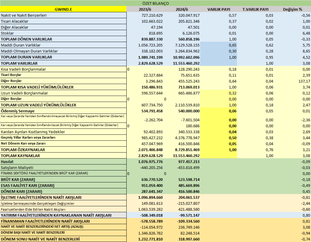 GWIND BİLANÇO ANALİZİ 2024/6 Image 650 1024x795