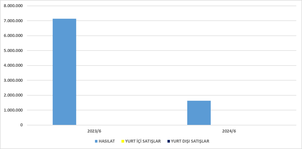 METRO BİLANÇO ANALİZİ 2024/6 Image 840 1024x507