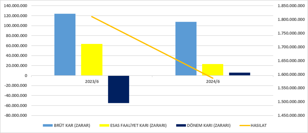 DMSAS BİLANÇO ANALİZİ 2024/6 Image 1264 1024x442