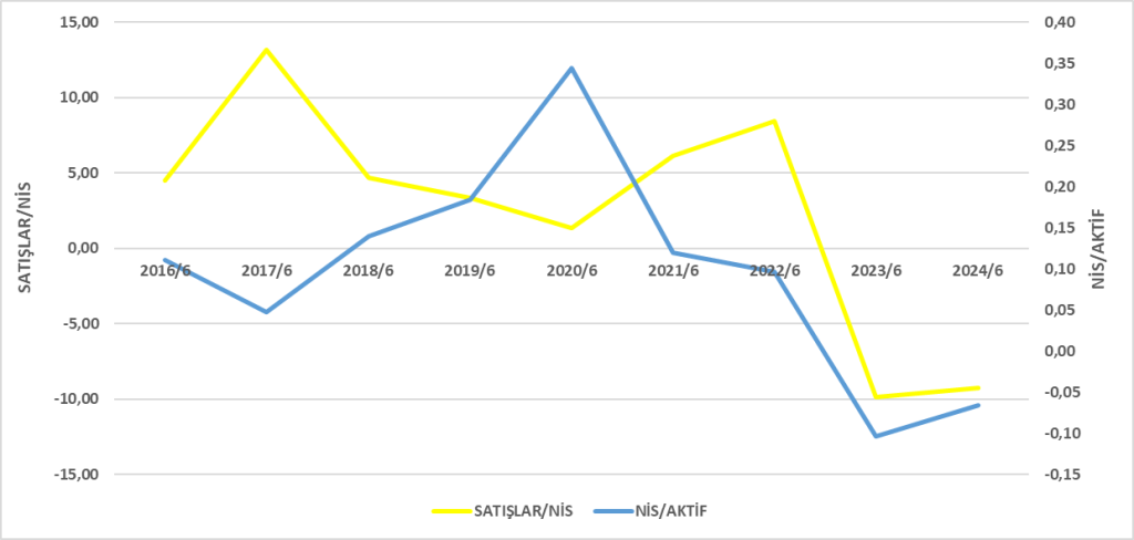 DMSAS BİLANÇO ANALİZİ 2024/6 Image 1276 1024x488