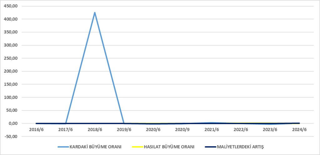 DMSAS BİLANÇO ANALİZİ 2024/6 Image 1278 1024x497