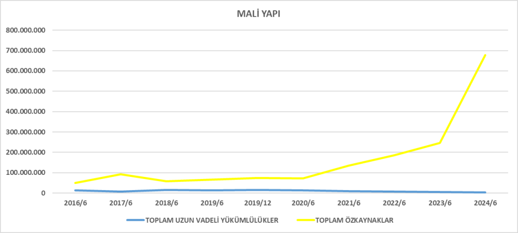FLAP BİLANÇO ANALİZİ 2024/6 Image 49 1024x461