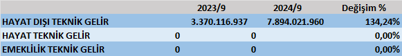 RAYSG BİLANÇO ANALİZİ 2024/9 Image 1331