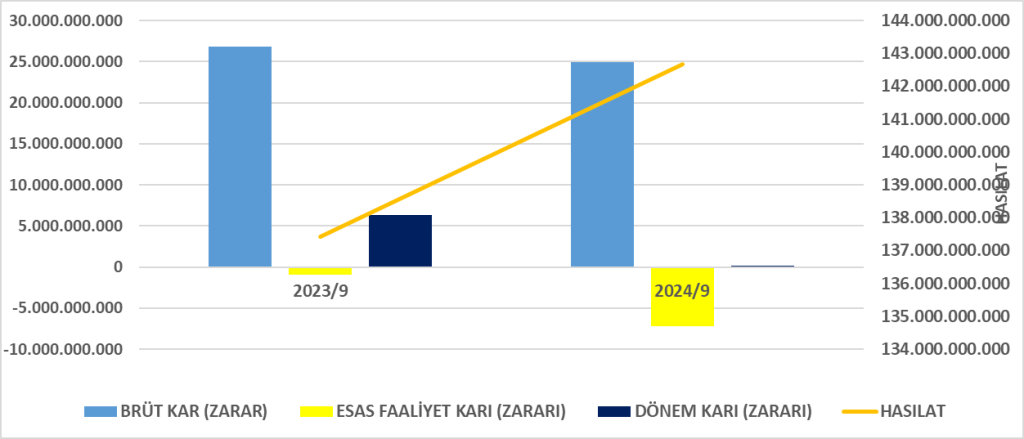 SOKM BİLANÇO ANALİZİ 2024/9 Image 724 1024x439