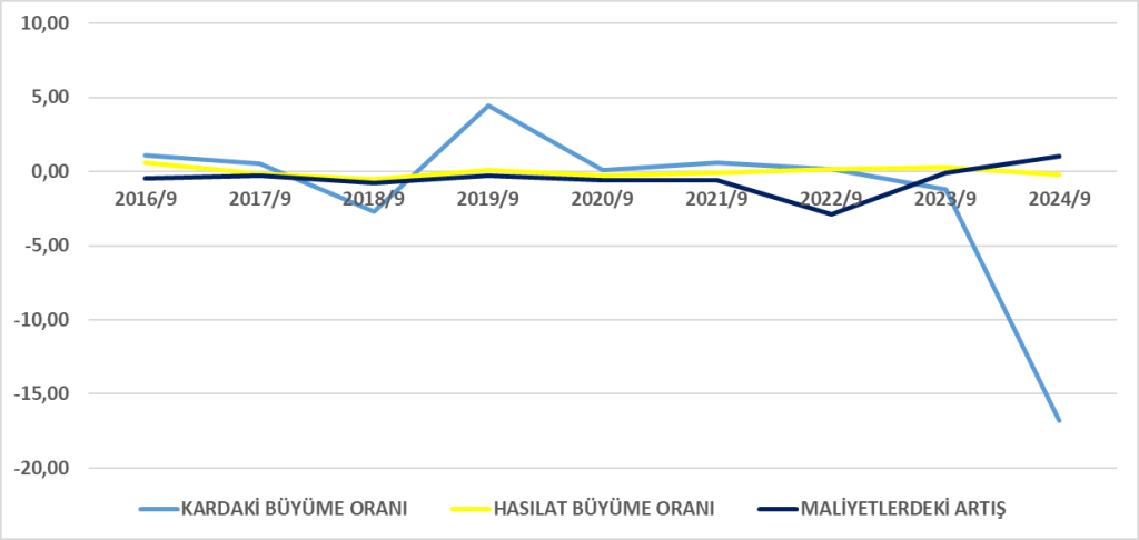 OTKAR BİLANÇO ANALİZİ 2024/9 Image 206 1024x486