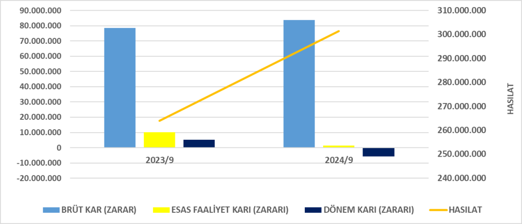 ARCLK BİLANÇO ANALİZİ 2024/9 Image 571 1024x439