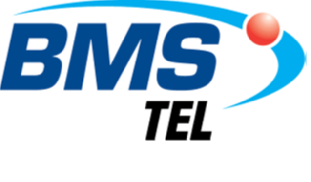 BMSTL BİLANÇO ANALİZİ 2024/12 Bmstl