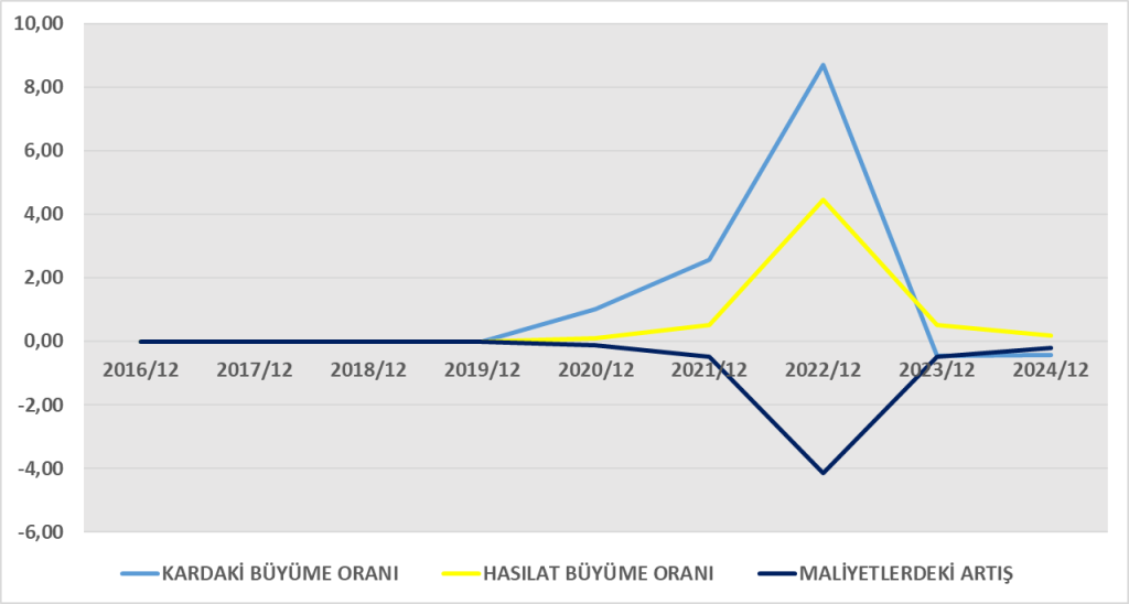 DERHL BİLANÇO ANALİZİ 2024/12 Image 1136 1024x548