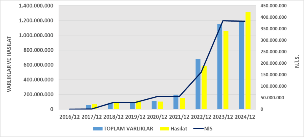 SAFKR BİLANÇO ANALİZİ 2024/12 Image 1170 1024x462