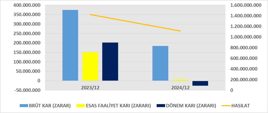 VSNMD BİLANÇO ANALİZİ 2024/12 Image 1570 1024x432