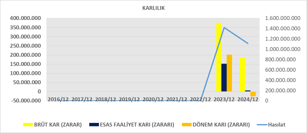 VSNMD BİLANÇO ANALİZİ 2024/12 Image 1571 1024x446