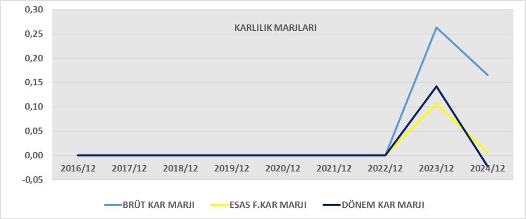 VSNMD BİLANÇO ANALİZİ 2024/12 Image 1572 1024x426