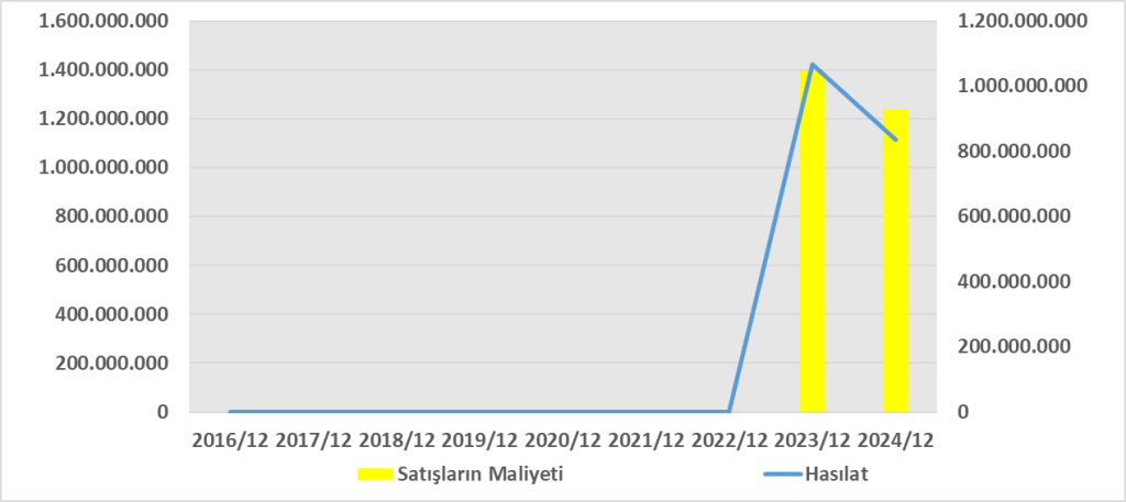 VSNMD BİLANÇO ANALİZİ 2024/12 Image 1575 1024x457