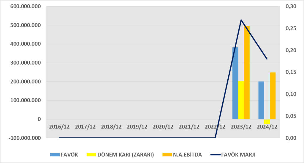 VSNMD BİLANÇO ANALİZİ 2024/12 Image 1578 1024x548