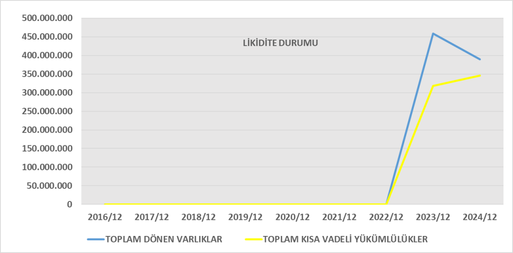 VSNMD BİLANÇO ANALİZİ 2024/12 Image 1579 1024x505