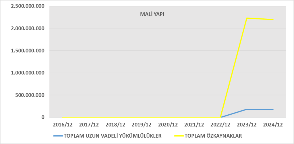 VSNMD BİLANÇO ANALİZİ 2024/12 Image 1580 1024x501