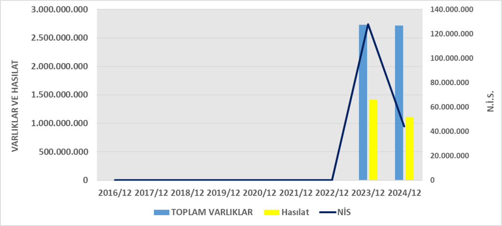 VSNMD BİLANÇO ANALİZİ 2024/12 Image 1581 1024x462