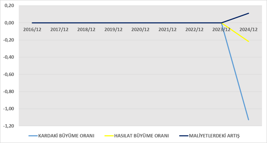 VSNMD BİLANÇO ANALİZİ 2024/12 Image 1584 1024x548