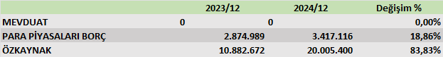 KLNMA BİLANÇO ANALİZİ 2024/12 Image 228
