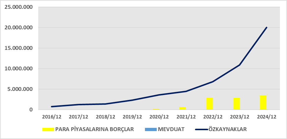 KLNMA BİLANÇO ANALİZİ 2024/12 Image 229