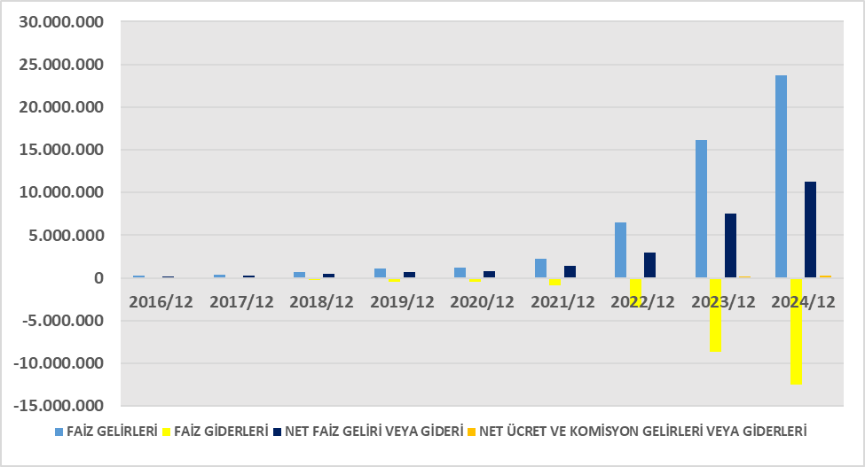 KLNMA BİLANÇO ANALİZİ 2024/12 Image 231