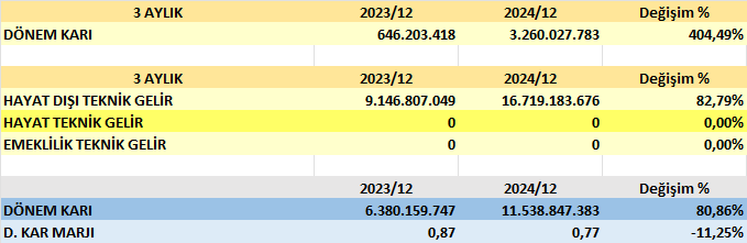 ANSGR BİLANÇO ANALİZİ 2024/12 Image 272