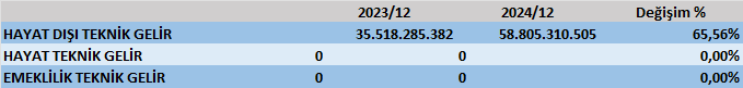 ANSGR BİLANÇO ANALİZİ 2024/12 Image 275