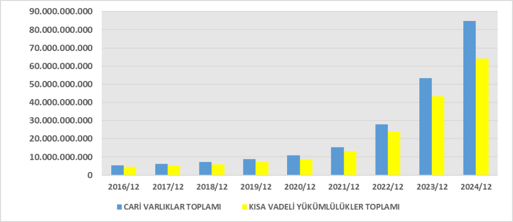 ANSGR BİLANÇO ANALİZİ 2024/12 Image 280 1024x444